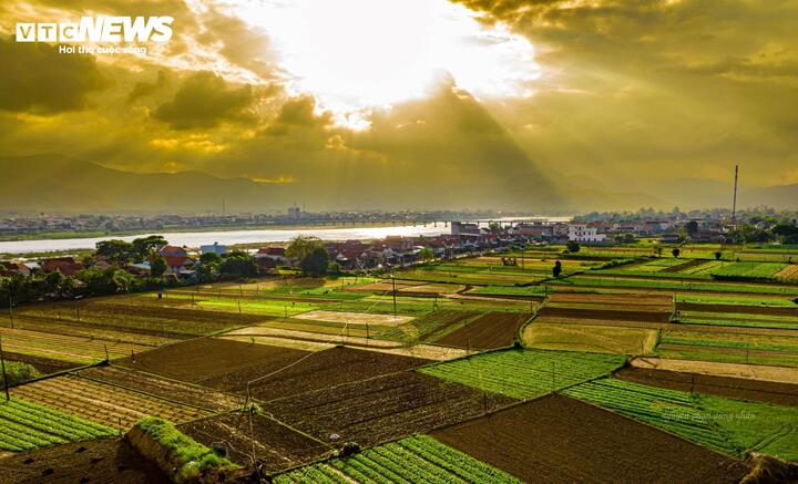 Nằm bên bờ sông Kôn thuộc địa bàn xã Tây Sơn (tỉnh Gia lai), Làng rau truyền thống Thuận Nghĩa mang nét bình yên, cổ kính bởi hàng trăm cổng ngõ, ngôi nhà mái đỏ nhuốm màu thời gian, hoài cổ.