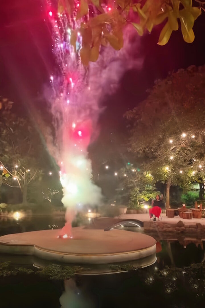 Trong video mừng năm mới, ca sĩ Mỹ Tâm để lộ biệt phủ rộng lớn - 1
