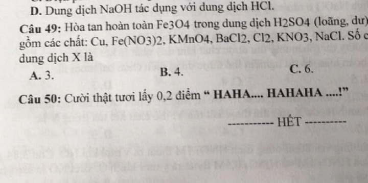 Đề Hóa mơ ước. (Ảnh: Trường Người Ta)