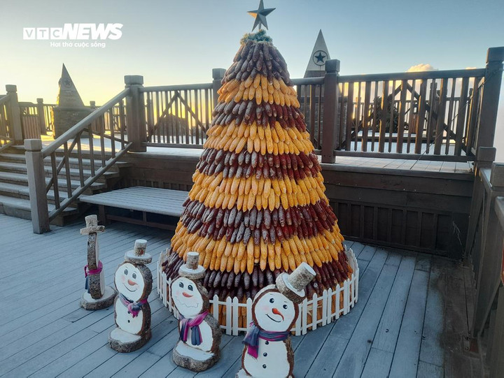 Sương muối xuất hiện với cường độ nhẹ, phủ đều một lớp mỏng trên nền gỗ, đường đi, bậc đá và cành cây, ngọn cỏ tạo nên khung cảnh rất đẹp trong ngày đầu năm 2024.