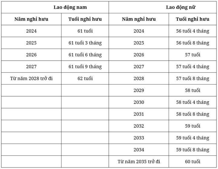 Tuổi nghỉ hưu của người lao động năm 2024 - 1