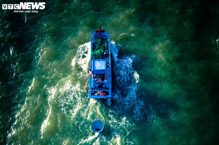 Tàu cá BĐ 98011 TS bị mất liên lạc trên biển gần 1 tuần qua. (Ảnh minh họa)