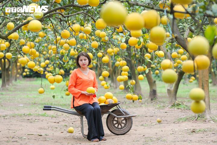 Miền Bắc trưa chiều hửng nắng. (Ảnh minh hoạ: Khổng Chí)