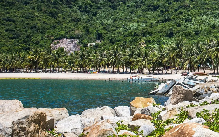 Hàng dừa xanh Bãi Ông.