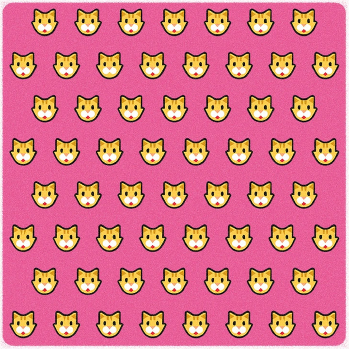 Bạn có thể nhanh chóng tìm ra con mèo khác biệt?