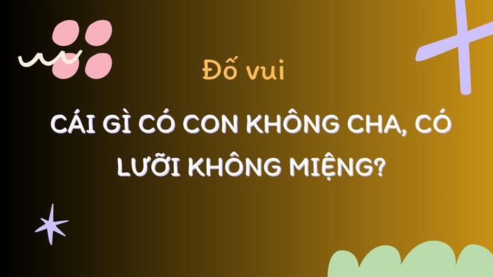 Con gì vậy?