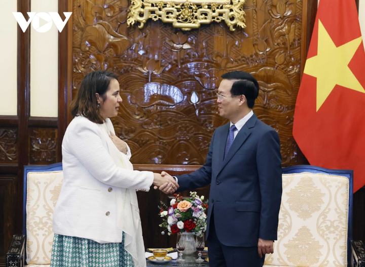 Chủ tịch nước Võ Văn Thưởng tiếp Đại sứ New Zealand, bà Tredene Dobson.