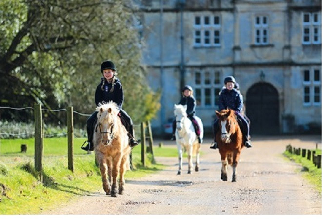 Bộ môn kiêu hãnh của các “quý tộc trẻ” thời hiện đại.
