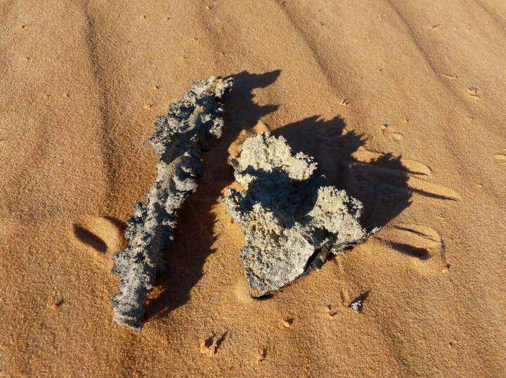 Fulgurites thường được gọi là “sét hóa đá”, là một loại đá độc đáo khác. Chúng là những khối đá tự nhiên được hình thành khi sét đánh vào đất cát hoặc cồn cát. Sức nóng dữ dội từ tia sét (đôi khi lên tới hơn 1.800 độ C) làm tan chảy cát và khi nguội đi nhanh chóng, nó tạo thành khối xù xì theo đường dạng tia sét. Chủng đá này khác nhau về kích thước và hình dạng, tùy thuộc vào tính chất của sét đánh và loại cát. (Ảnh: Ji-Elle)