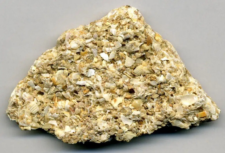 Coquina là một khối đá trầm tích gắn liền với câu chuyện về cuộc sống biển cả. Loại đá này được hình thành gần như hoàn toàn từ các mảnh vỏ và san hô. Theo thời gian, những vật liệu sinh học này tích tụ và được nén chặt lại với nhau, tạo thành một khối đá. (Ảnh: James St. John)