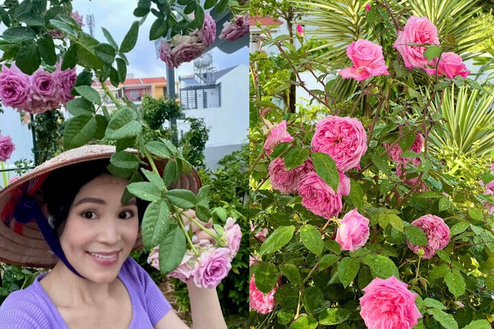 Dạ Thảo - bà xã MC Quyền Linh vừa khoe thành quả trồng hoa trong biệt thự của mình. Cô thích thú viết: "Mời mọi người ngắm hoa vườn nhà cùng người nông dân nhé!".