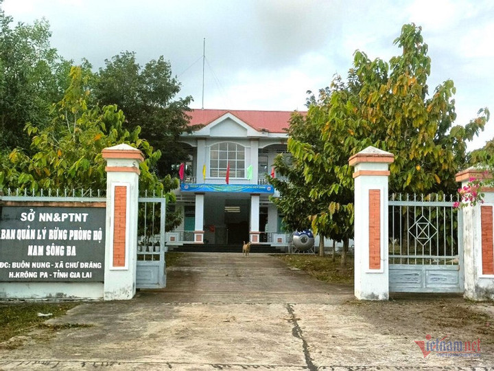 Ban Quản lý rừng phòng hộ Nam Sông Ba, nơi đang quản lý Tiểu khu 1394 mà văn bản giả mạo giao cho Công ty TNHH Nông nghiệp Thiên Phú Gia Lai. (Ảnh: Trần Hoàn)