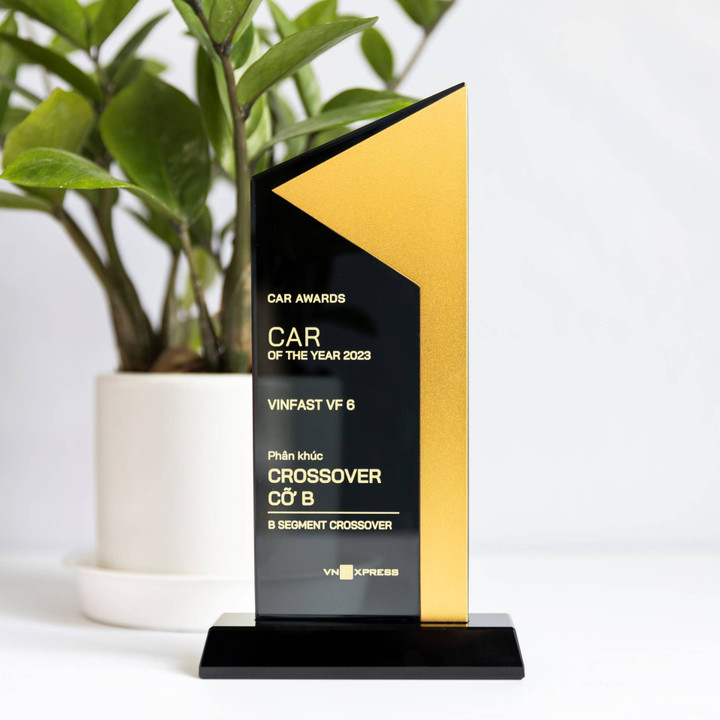 Giải thưởng phản ánh chính xác những gì VF 6 thể hiện ở phân khúc B-SUV.