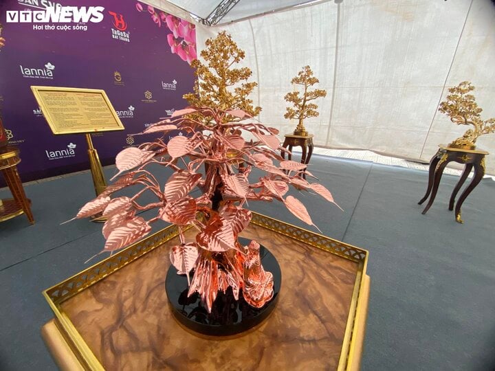 Ngoài hai cây kể trên, gian hàng còn trưng bày nhiều cây mai mạ vàng đa dạng hình dáng, kích thước và giá tiền để phục vụ nhu cầu người dân dịp Tết Nguyên đán 2023.