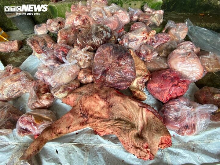 Kết quả xét nghiệm các mẫu vật lấy từ 3 tấn thịt, nội tạng lợn không rõ nguồn gốc tại kho đông lạnh ở TP Huế đều không đạt vệ sinh an toàn thực phẩm. (Ảnh: CACC)