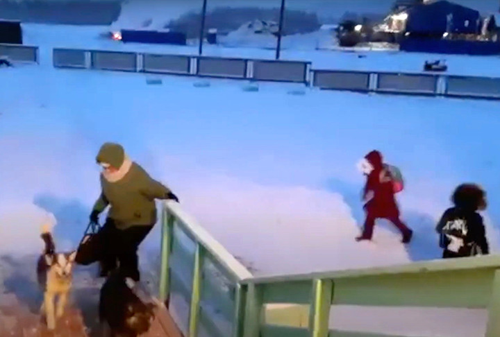 Ở Oymyakon, mùa đông kéo dài từ tháng 10 năm trước đến tháng 4 năm sau. Trẻ em địa phương đi bộ đến trường cùng cha mẹ và những chú chó tuyết dẫn đường. Còn với trẻ em đến từ các làng khác phải đi xe buýt đến học. (Ảnh:Semyon Sivtsev/The Siberian Times)