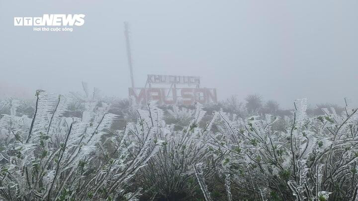 Sáng 23/1, nhiệt độ giảm xuống âm 1,1 độ C, đỉnh Mẫu Sơn đã xuất hiện băng giá.