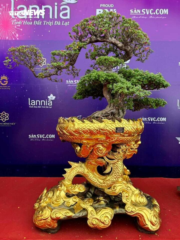 Tác phẩm "Long vân quần mộc".