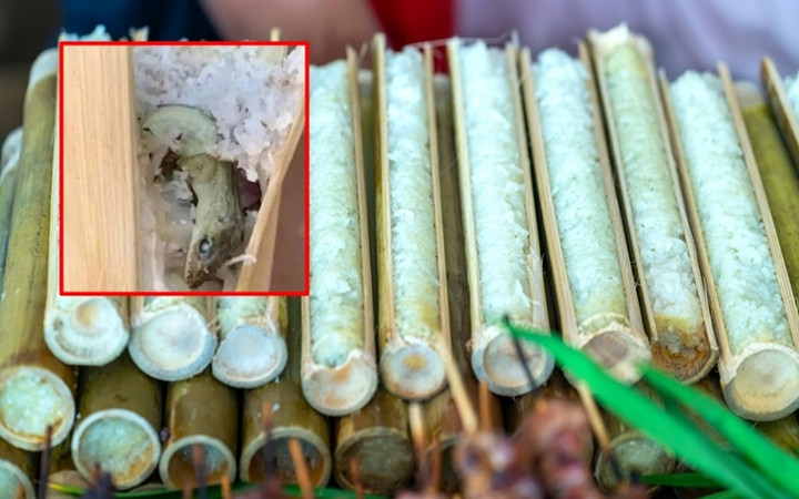 Lisa Maneevanh sợ đến muốn khóc thét khi phát hiện một thạch sùng chết trong ống cơm lam cô đang định ăn.