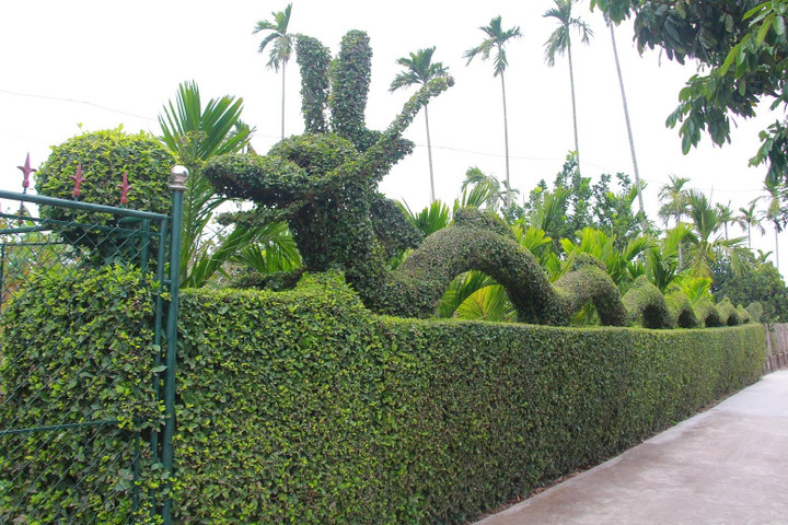 Năm 2024 là năm Giáp Thìn, ông Hải hy vọng, linh vật con rồng sẽ đem lại nhiều điều may mắn cho gia đình.