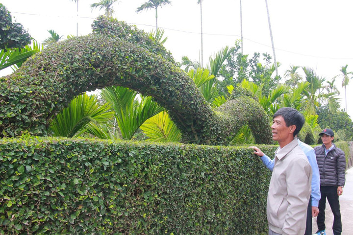 “Tác phẩm càng có ý nghĩa hơn khi người trồng cây duối là bố tôi, còn con trai tôi là người gợi ý tưởng, tôi là người tạo tác con rồng. Ba thế hệ đã cùng làm nên một tác phẩm”, ông Hải chia sẻ.