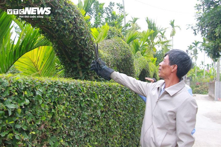 Mỗi ngày, ông Hải đều ngắm nghía, chỉnh sửa lại tác phẩm của mình.