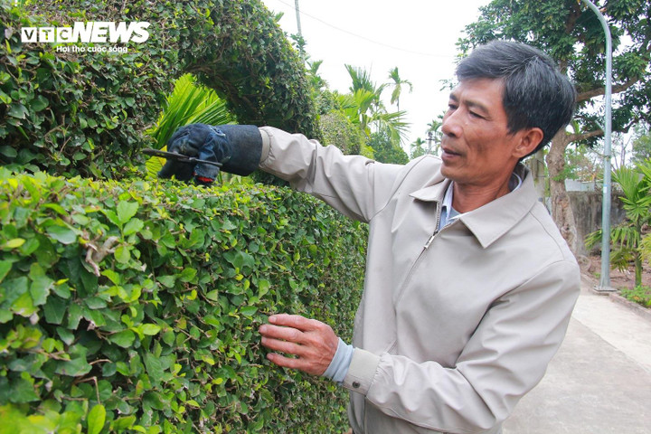 Nhiều người đến xem, thích thú và ngỏ ý muốn mua với giá cao nhưng ông Hải nhất quyết không bán. Vì đây là tác phẩm để đời của ông, hơn nữa là cây được bố đẻ của ông để lại.