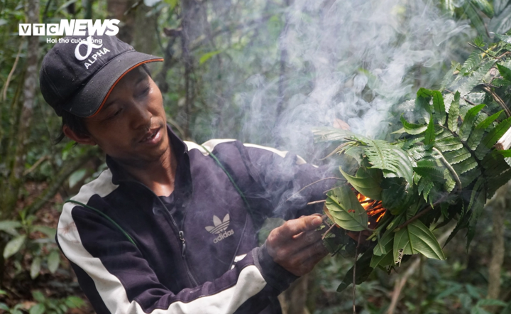 Nhóm thợ “săn” bó củi khô thành chụm, bọc lá xanh bên ngoài để đốt lửa hun khói lấy mật.