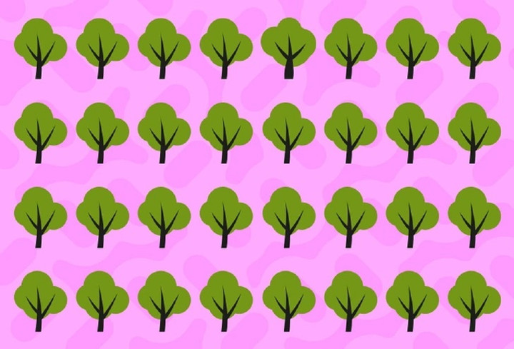 Câu đố dành cho người tinh mắt.