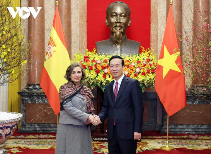 Chủ tịch nước Võ Văn Thưởng tiếp Đại sứ Tây Ban Nha Carmen Cano De Lasala.