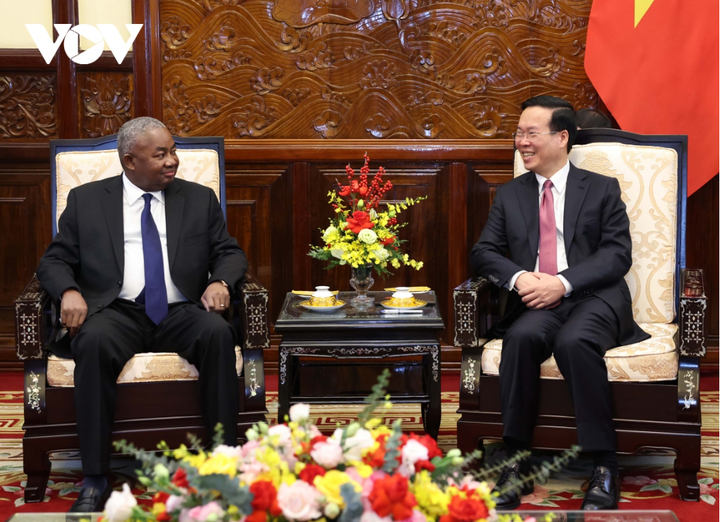 Chủ tịch nước Võ Văn Thưởng tiếp Đại sứ Mozambique Leonardo Pene.