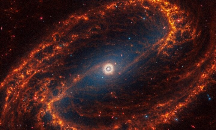 Thiên hà xoắn ốc NGC 1300 với những ngôi sao màu đỏ sơ sinh được nhìn thấy ở đầu các làn bụi màu cam. (Ảnh: NASA, ESA, CSA, STScI, Janice Lee (STScI), Thomas Williams (Oxford))