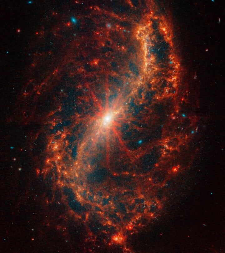 Những ngôi sao xanh già hơn xuyên qua các lớp khí bụi phân tử màu cam trong thiên hà NGC 7496. (Ảnh: NASA, ESA, CSA, STScI, Janice Lee (STScI), Thomas Williams (Oxford))
