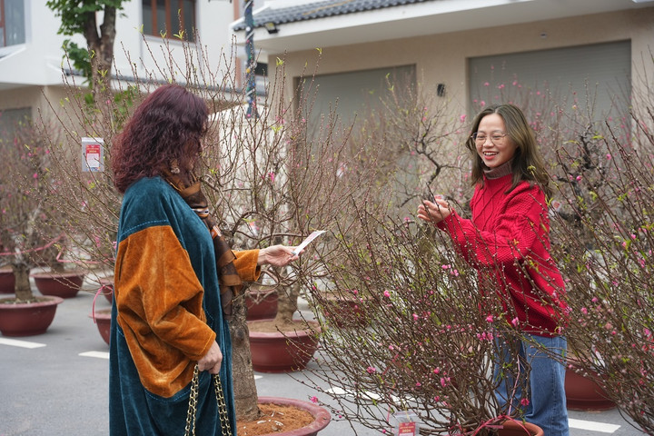 Con đường hoa đào cổ là nơi nhiều du khách tìm thấy những cây đào ưng ý trang trí cho nhà cửa thêm phần rực rỡ trong những ngày Tết đến xuân về.