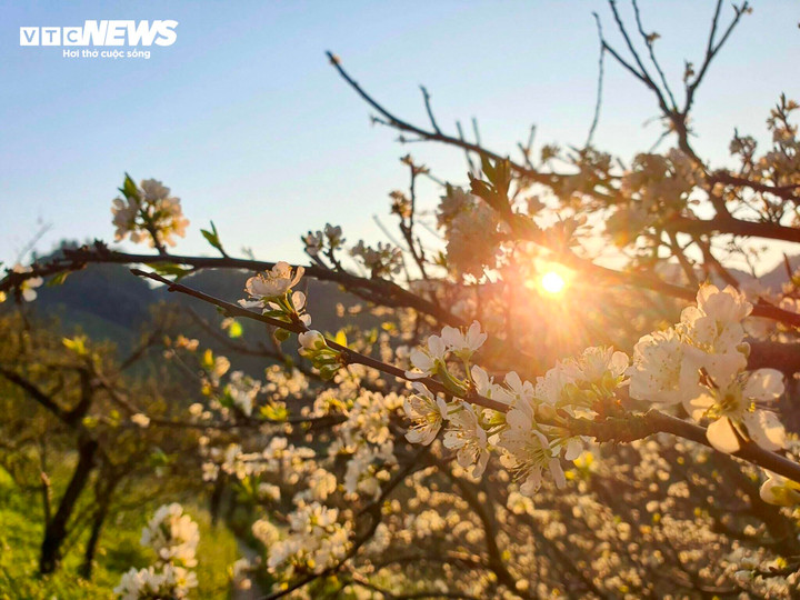 Từ đêm 31/1 đến 9/2, Bắc Bộ và Bắc Trung Bộ mưa vài nơi, sáng sớm sương mù, sương mù nhẹ rải rác, trưa chiều trời nắng. (Ảnh: Hải Luân)