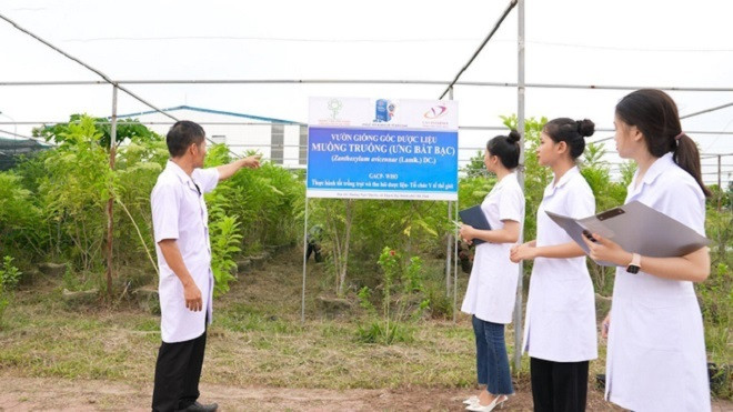 Tiến sĩ Dũng và dự án vùng trồng Ưng bất bạc.