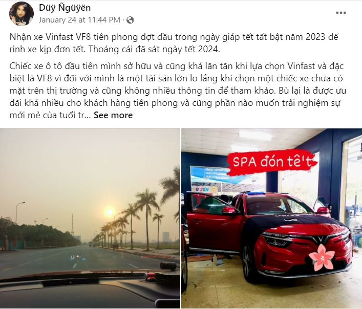 Hành trình 'từ hoài nghi đến trung thành' của chủ xe điện VinFast - 3