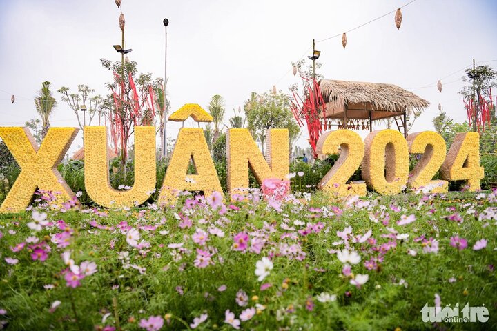 Không gian ngoan tràn lan sắc xuân bên trên đàng hoa trang chủ Hanoi Xuan 2024. (Ảnh: Nam Trần)
