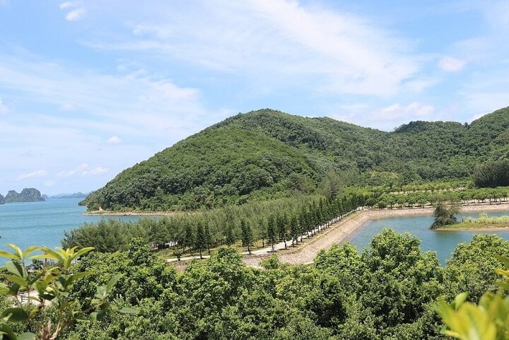 Khám đập phá hòn đảo Thẻ Vàng Quảng Ninh - 3