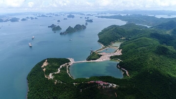 Khám đập phá hòn đảo Thẻ Vàng Quảng Ninh - 1
