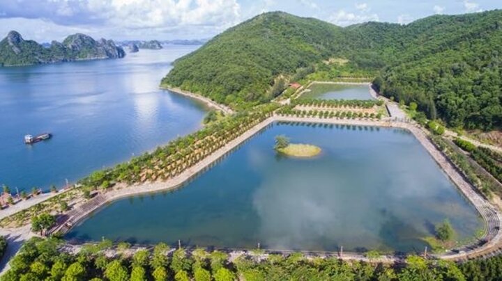 Khám đập phá hòn đảo Thẻ Vàng Quảng Ninh - 4