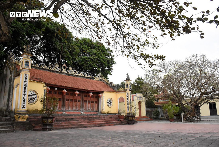 Độc đáo 4 cây đại hoa trắng hơn 700 tuổi trong ngôi đền cổ ở Hải Phòng - 12