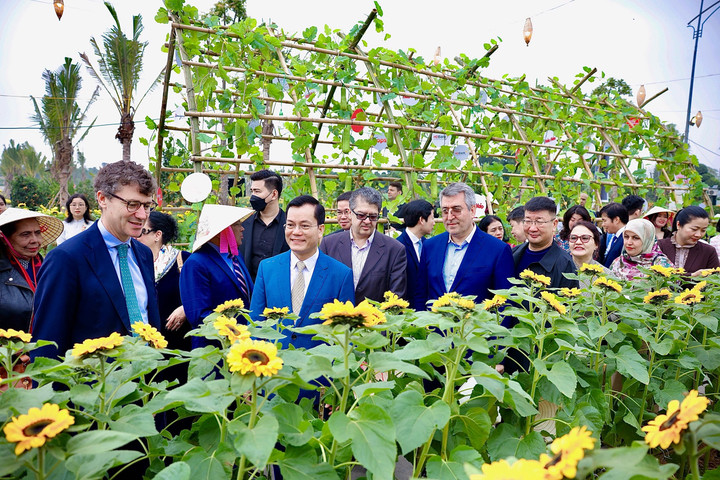 Với chủ đề “Tết triệu sắc Việt, Xuân vạn sinh sôi”, đường hoa năm nay được các đại biểu đánh giá cao. (Ảnh: Quang Anh)