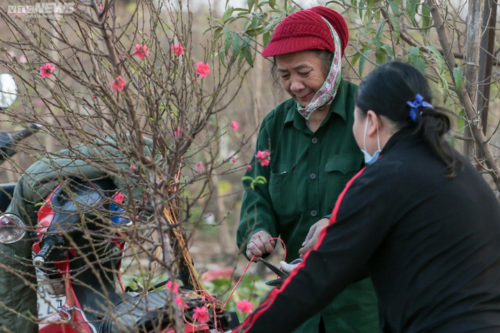 Ngày 6/2, miền Bắc trưa chiều trời nắng. (Ảnh minh hoạ: Ngô Nhung)