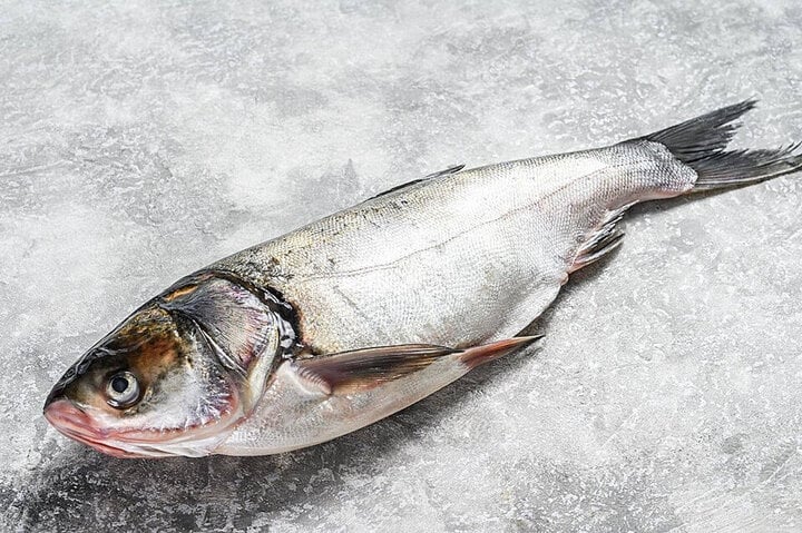 Cá chép bạc thường ăn các loại phân và thịt thối rữa.