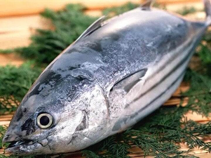 Không nên ăn quá nhiều cá ngừ.