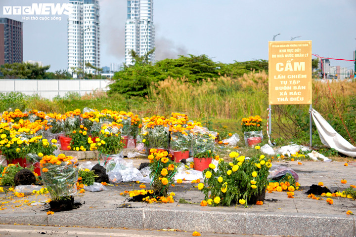 Hàng trăm chậu hoa bị bỏ nằm la liệt trên vỉa hè tại chợ hoa Thủ Thiêm (TP Thủ Đức, TP.HCM) trong chiều 30 Tết. (Ảnh: Thy Huệ)