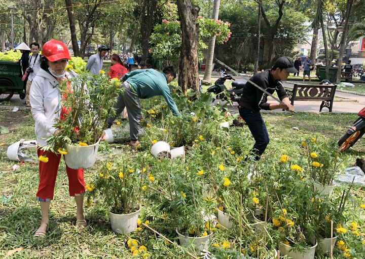 Thương lái đập bỏ các chậu hoa do ế ẩm, nhất quyết không bán rẻ hay cho không. (Ảnh: Webtretho)