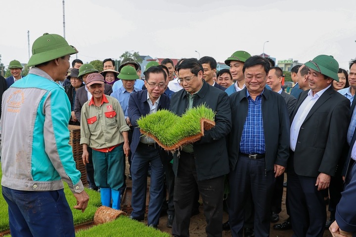 Thủ tướng thăm khu vực sản xuất mạ khay và cánh đồng gieo sạ bằng máy. (Ảnh: VGP/Nhật Bắc)