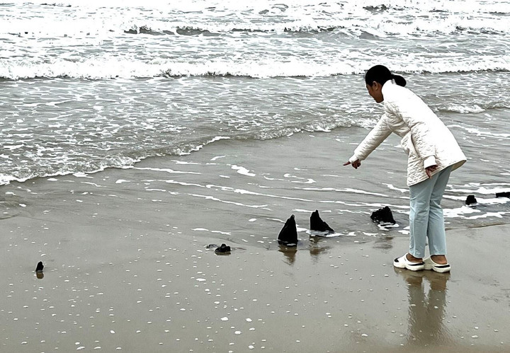 Bà con địa phương phát hiện xác tàu gỗ "lộ thiên" ở khu vực bờ biển ngay sau trụ sở UBND phường Cẩm An hồi cuối năm 2023.